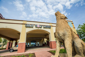 Great Wolf Lodge Chicago/Gurnee