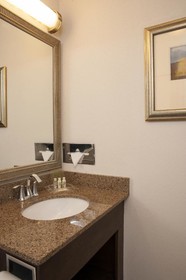 Holiday Inn Chicago West-Itasca