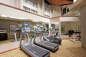 Holiday Inn Chicago West-Itasca