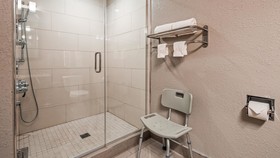 Best Western Plus North Joliet