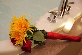 Hampton Inn Joliet - I-55
