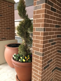 Hampton Inn Joliet I-80
