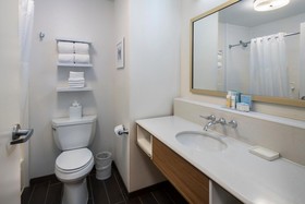Hampton Inn & Suites Lincolnshire