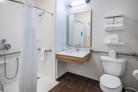 Hampton Inn & Suites Lincolnshire