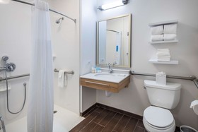 Hampton Inn & Suites Lincolnshire