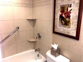 DoubleTree by Hilton Lisle Naperville