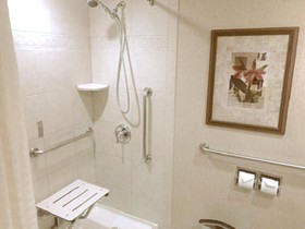 DoubleTree by Hilton Lisle Naperville