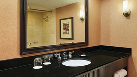 Sheraton Lisle Naperville Hotel