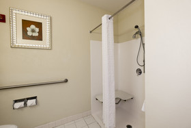 Holiday Inn Express & Suites Chicago - Matteson
