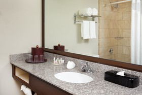 Holiday Inn Chicago Matteson Conference Center by IHG