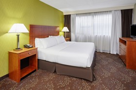Holiday Inn Chicago Matteson Conference Center by IHG