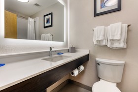 Holiday Inn Express Metropolis