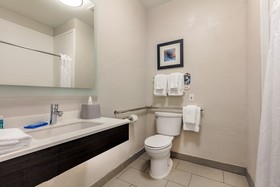 Holiday Inn Express Metropolis