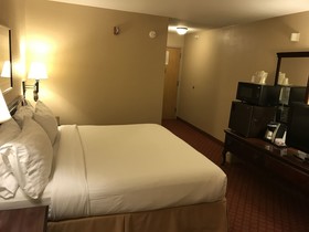Holiday Inn Express Metropolis