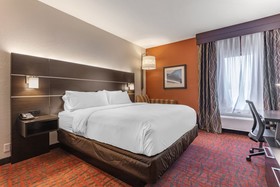 Holiday Inn Express Metropolis