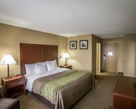 Comfort Inn Morris