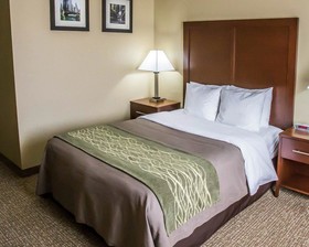 Comfort Inn Morris