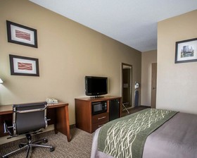 Comfort Inn Morris