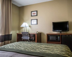Comfort Inn Morris