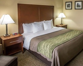 Comfort Inn Morris
