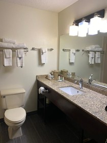 Quality Inn Morton At I-74