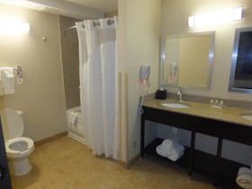 Holiday Inn Chicago - Mount Prospect