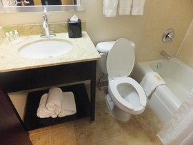 Holiday Inn Chicago - Mount Prospect