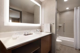 Embassy Suites by Hilton Chicago Naperville