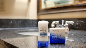 Best Western U. S. Inn