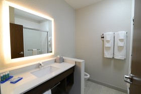 Holiday Inn Express & Suites Chicago North Shore - Niles