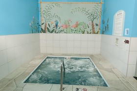 Holiday Inn Express Hotel & Suites Bloomington - Normal