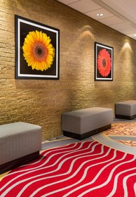 Hilton Northbrook