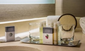 Doubletree Chicago Oak Brook
