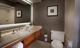 Doubletree Chicago Oak Brook