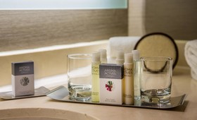 Doubletree Chicago Oak Brook