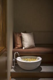 Hyatt Lodge Oak Brook Chicago