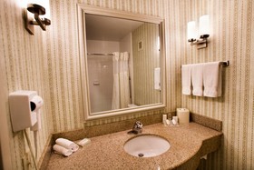 Hilton Garden Inn Chicago/Oakbrook Terrace