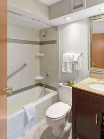 Hilton Chicago/Oak Lawn