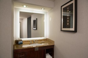 Hilton Chicago/Oak Lawn