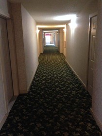 Paddle Wheel Inn
