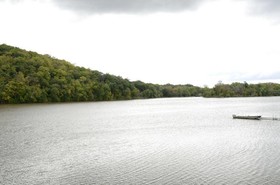 Paddle Wheel Inn