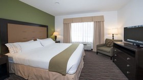 Holiday Inn Express Hotel & Suites Chicago Deerfie / Lincolnshire