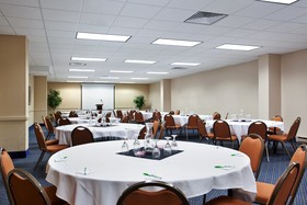 Holiday Inn Rockford (I-90&Rt 20/State St)