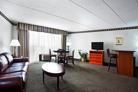 Holiday Inn Rockford (I-90&Rt 20/State St)