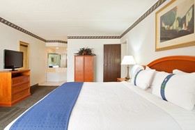 Holiday Inn Rockford (I-90&Rt 20/State St)