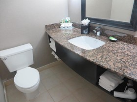 Holiday Inn Express Rolling Meadows - Schaumburg Area