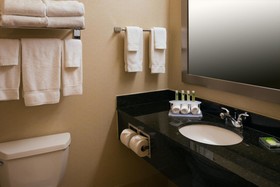 Holiday Inn Express & Suites Chicago West-Roselle