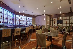 Hilton Rosemont / Chicago O'Hare