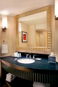 Hilton Rosemont / Chicago O'Hare