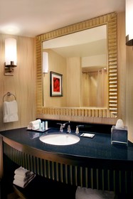 Hilton Rosemont / Chicago O'Hare